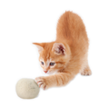 "Meow" Catnip Infused Wool Balls - Set of 2 in a cotton pouch