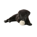 "Woolf" Balls for Dogs - Set of 2 in a cotton pouch