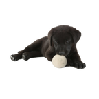 "Woolf" Balls for Dogs - Set of 2 in a cotton pouch